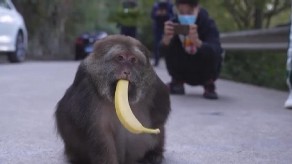 NEWS-DETAIL-CCTVPLUS