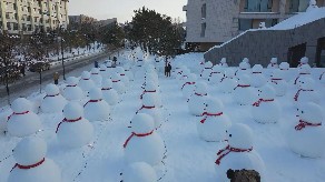 Snowman Array NEWS-DETAIL-CCTVPLUS