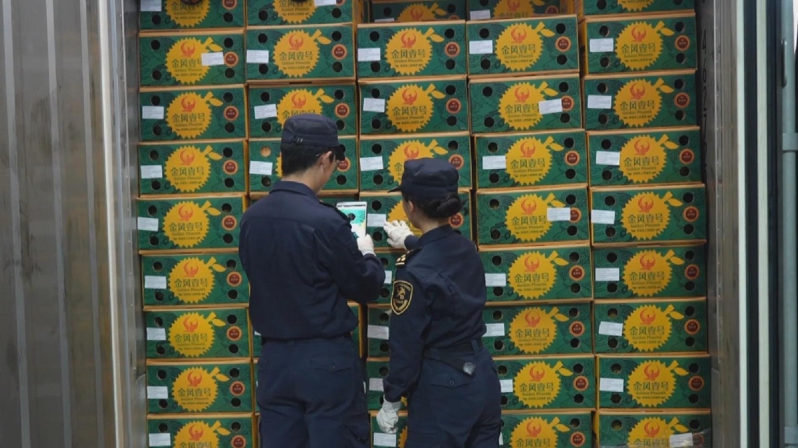 Economy in Focus